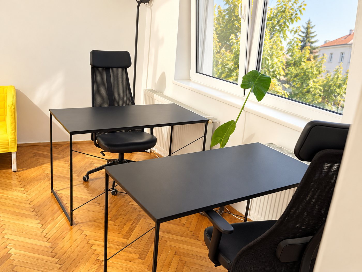 Două birouri negre lângă fereastră, cu scaune ergonomice și o plantă verde